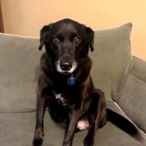 Meet your Posher, Alisha